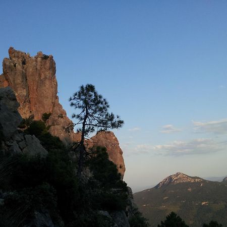 Casa De La Santa Διαμέρισμα Moratalla  Εξωτερικό φωτογραφία