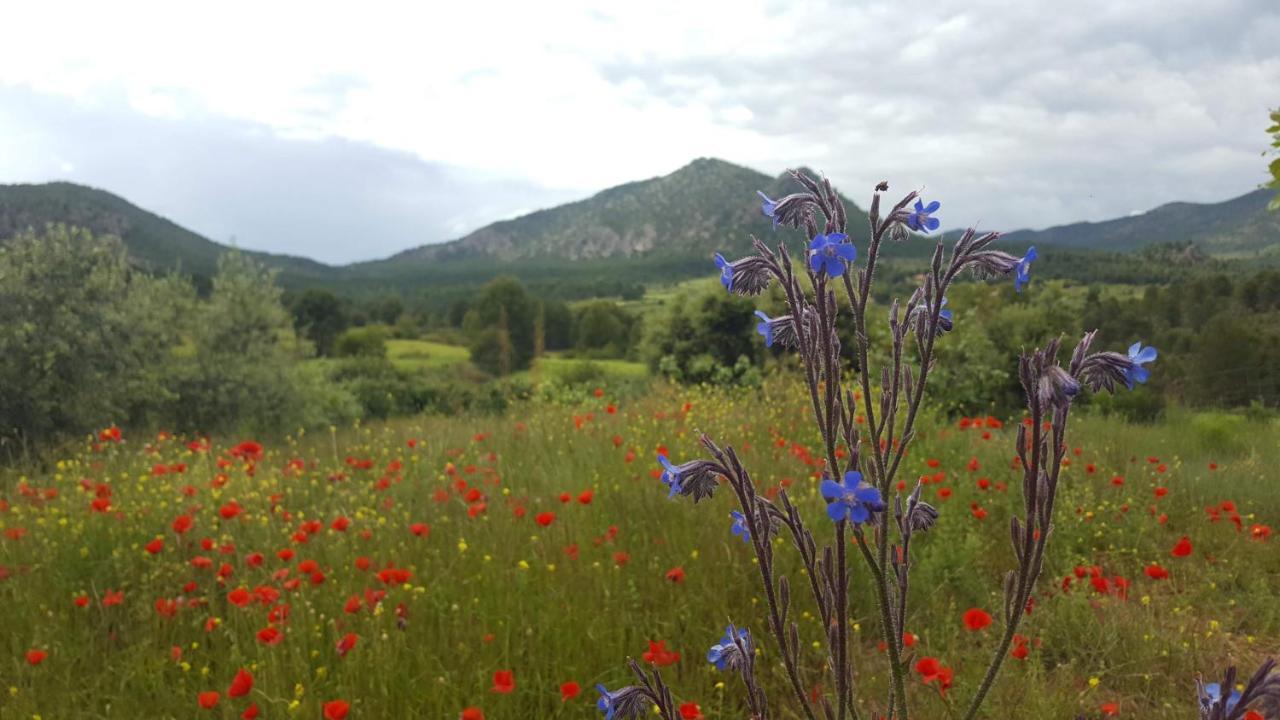 Casa De La Santa Διαμέρισμα Moratalla  Εξωτερικό φωτογραφία